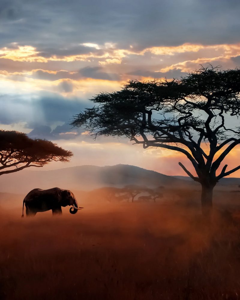 Argali targets substantial economic returns through making a true impact on people and the planet.